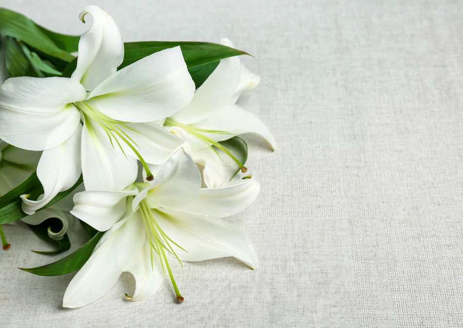 decoração com lírios