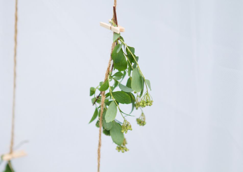 empresa de flores em São Paulo